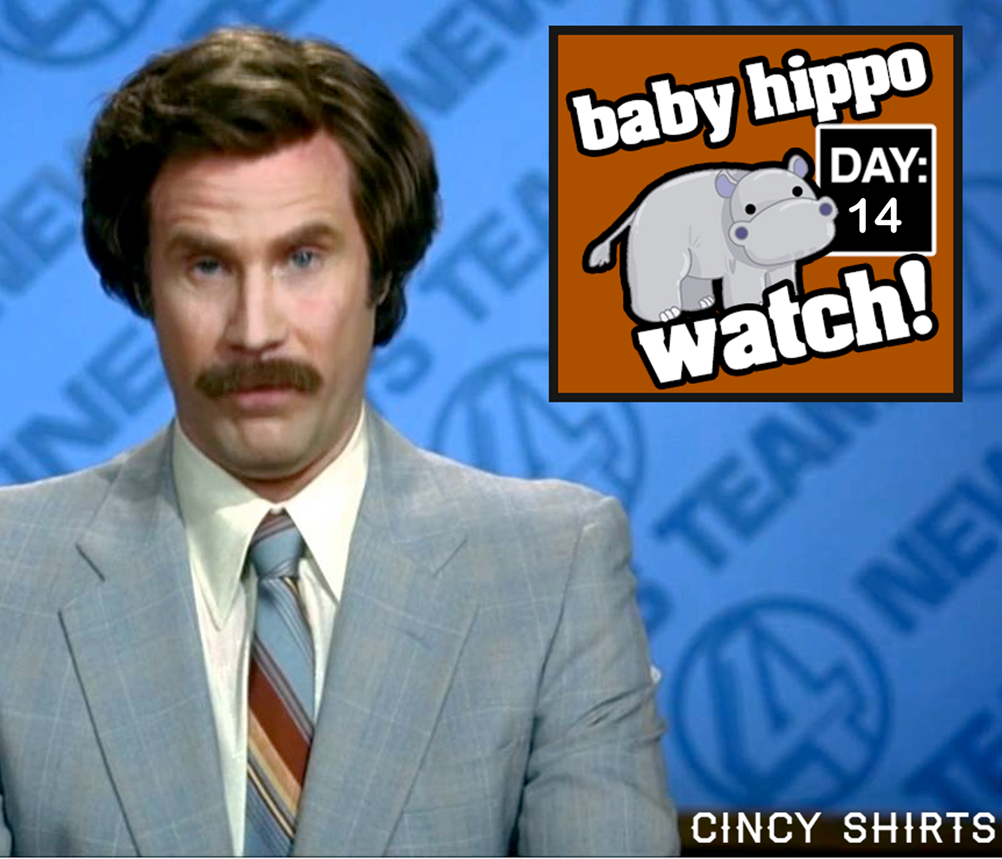 Baby Hippo Watch 2017