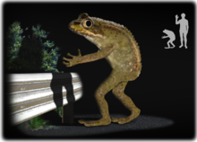 Have You Spotted the Loveland Frogman?