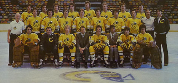 California Golden Seals Retro Defunct Hockey Sticker for Sale by
