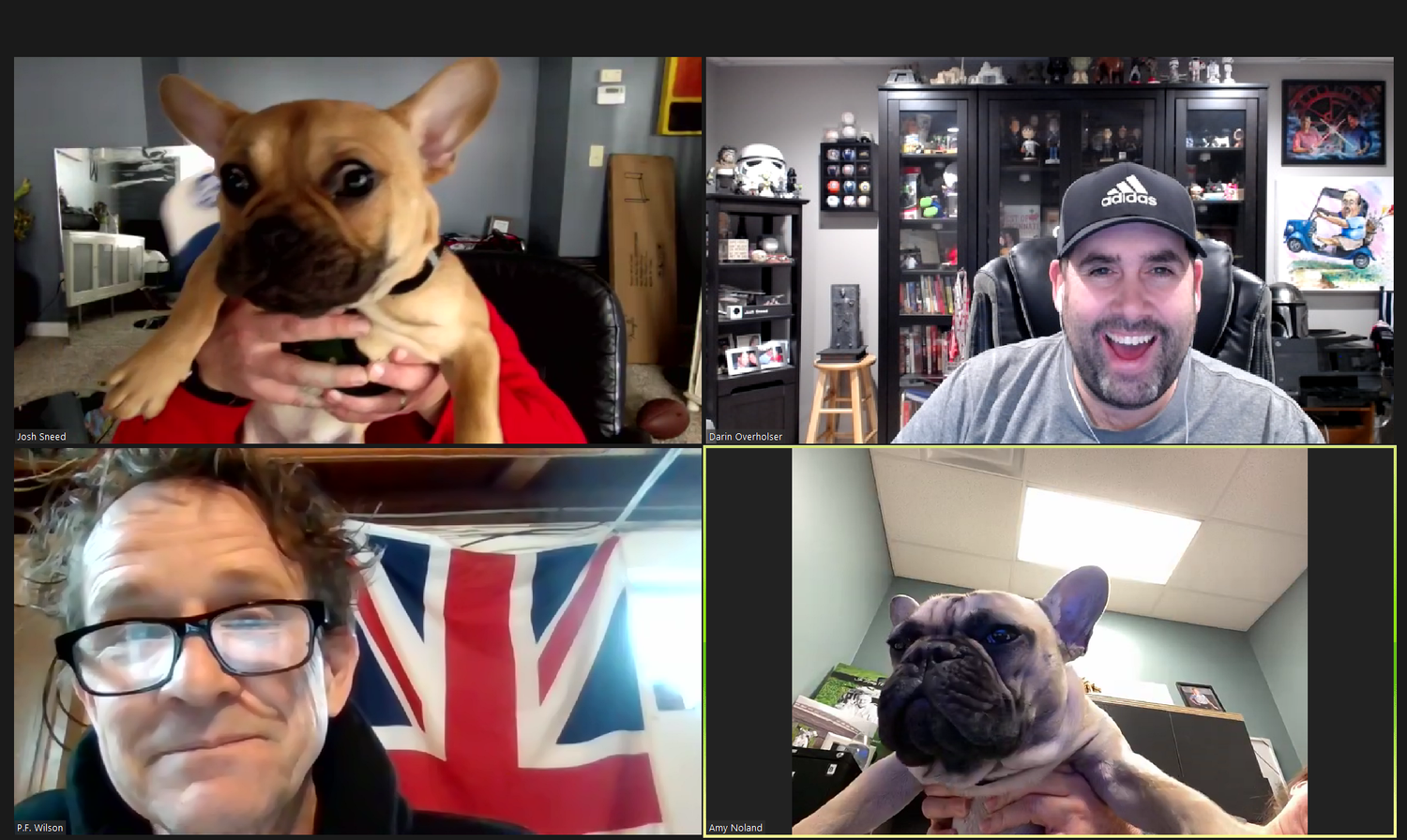 Wilbur the Mayor of Rabbit Hash