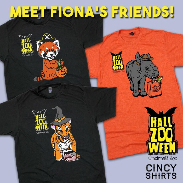 Meet Fiona's Friends!