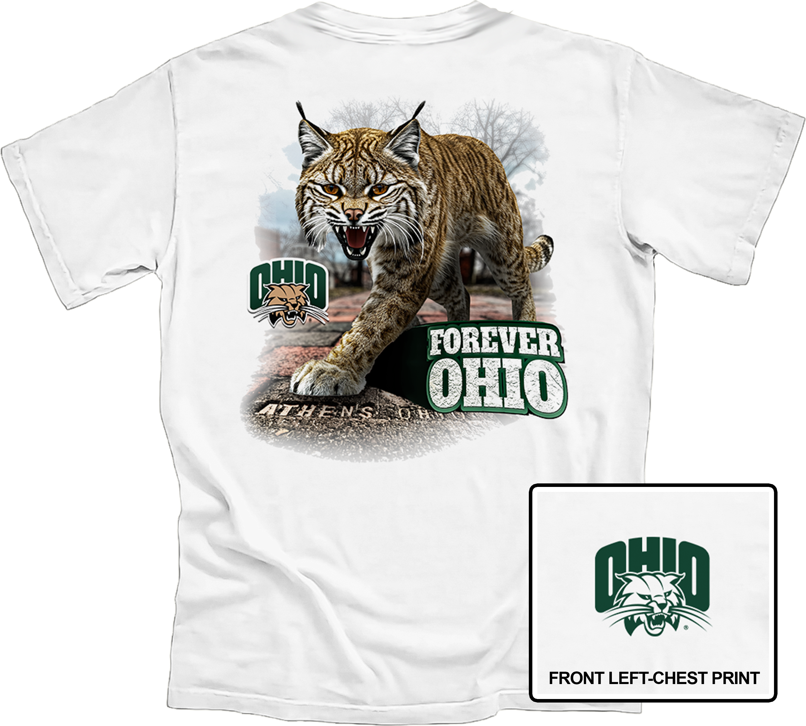 Ohio University Forever Ohio Bobcat Brick Walk