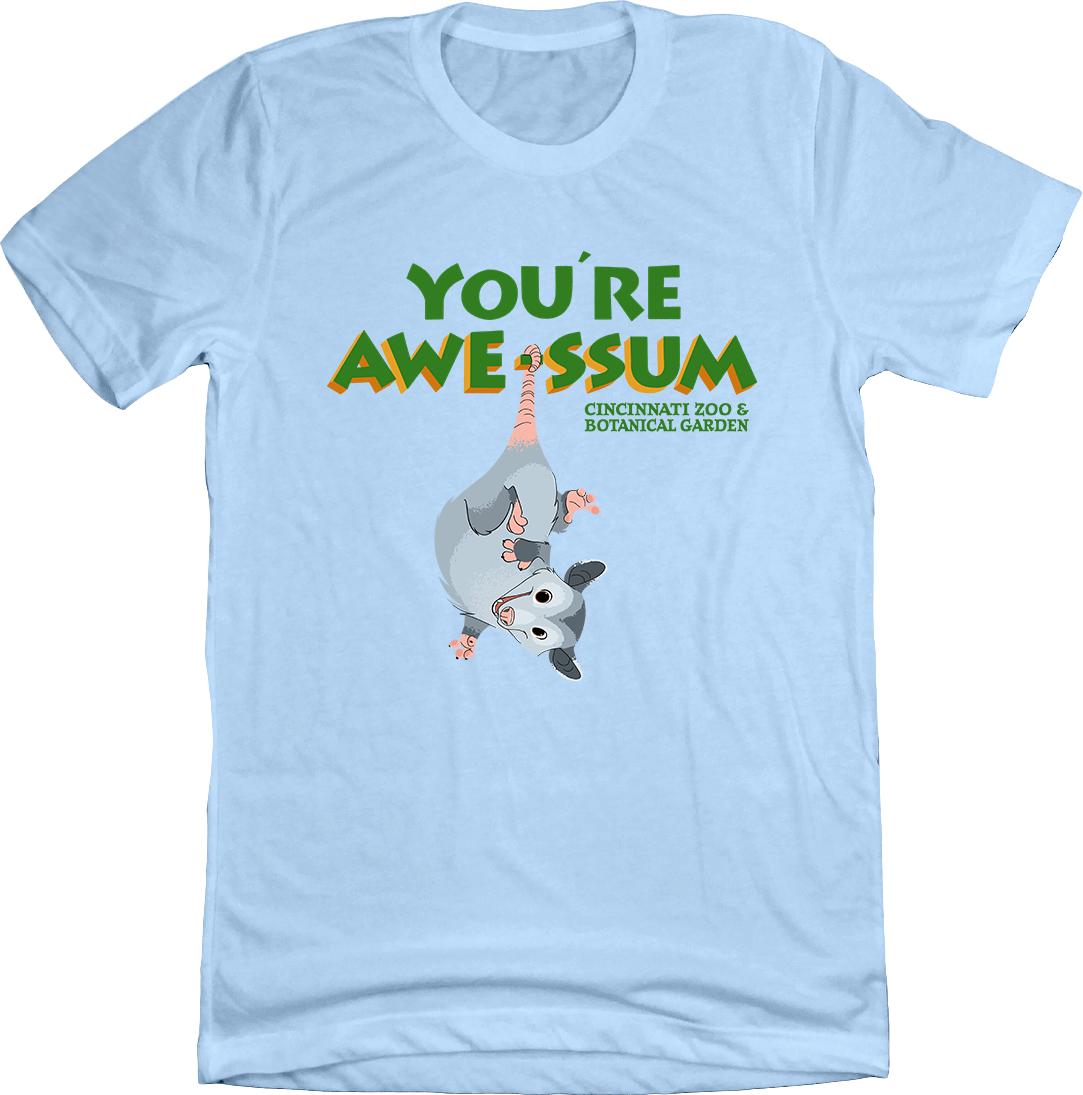 You're Awe-ssum Possum Tee