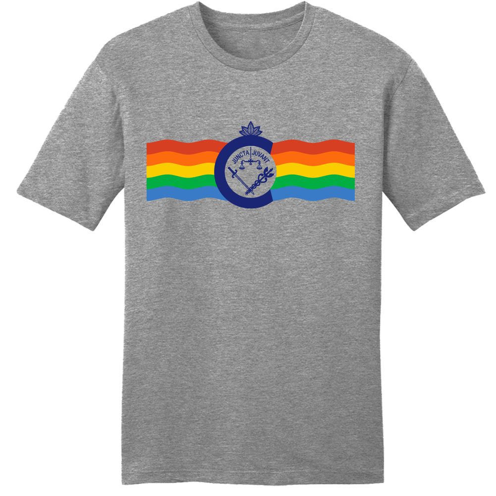 Cincinnati Flag Rainbow grey tee