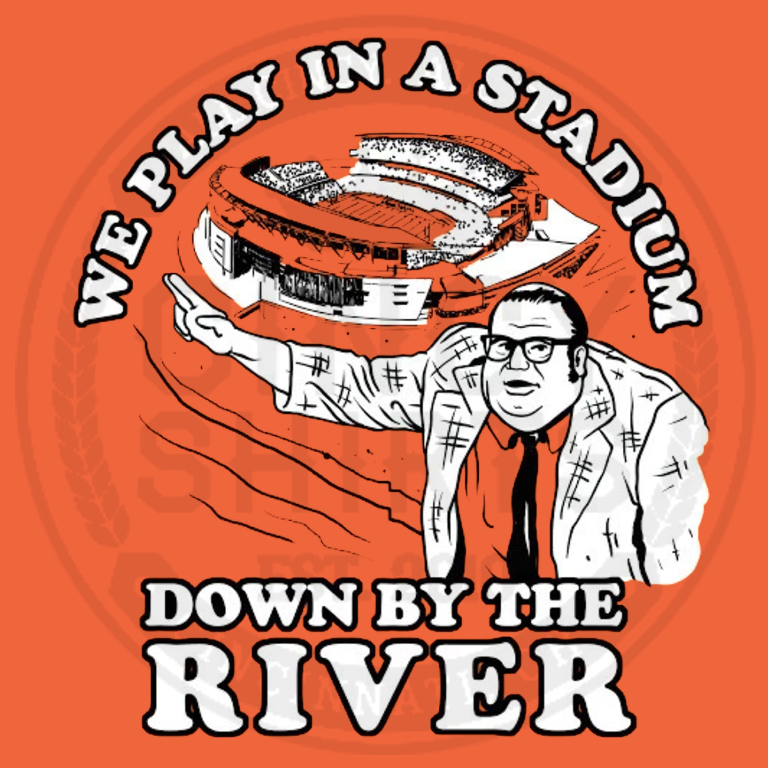 We Play In A Stadium Down By The River - Cincy Shirts