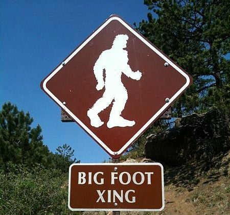The Cincy Shirts Podcast Episode 170: Big Foot in the Tristate?