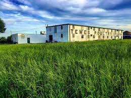 Tewes Farm