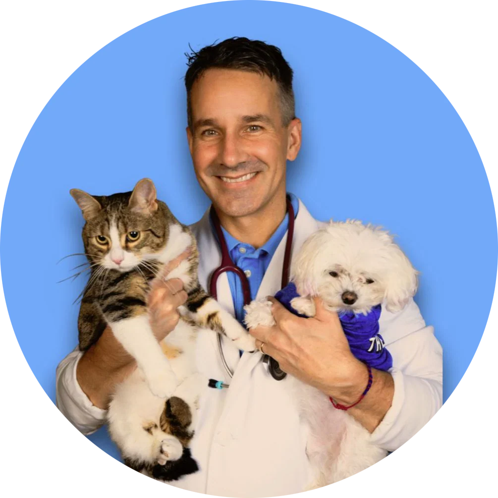 Dr. Matt McGlasson & Nuggets Merch | @dr.mattmcglasson