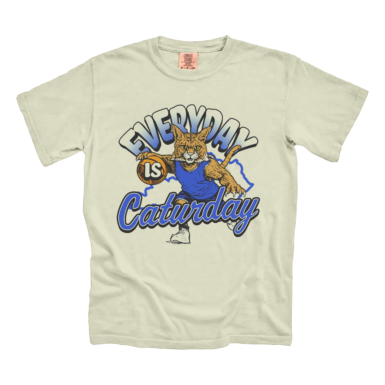 Everyday is Caturday CC Tee 
