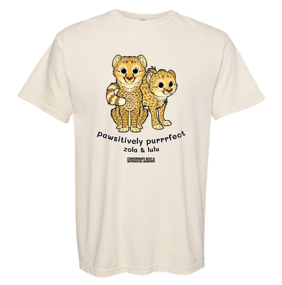 "Pawsitively Purrrfect" Zola & Lulu CC Tee