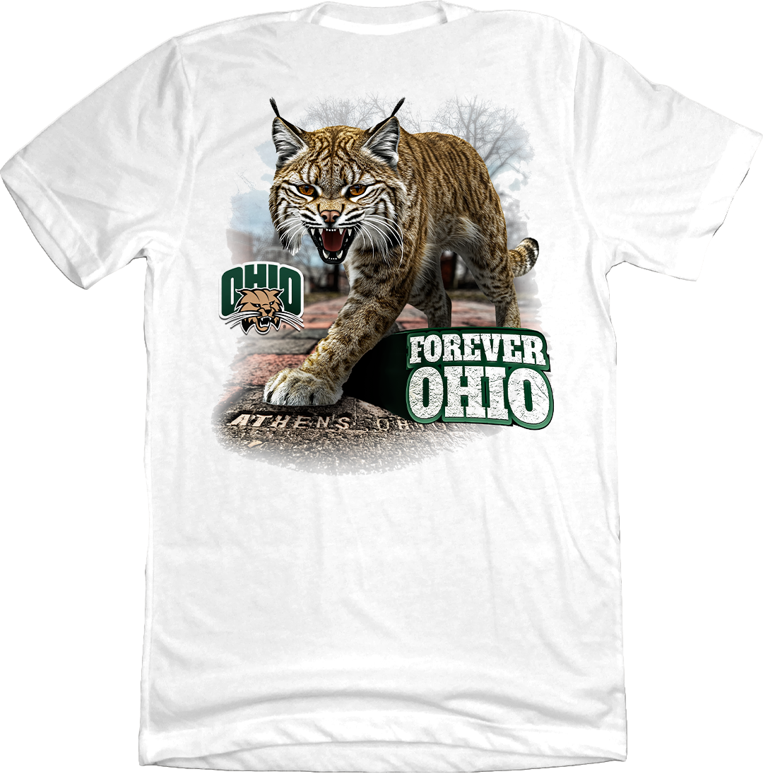 ohio university gear Ohio University Forever Ohio Bobcat Brick Walk