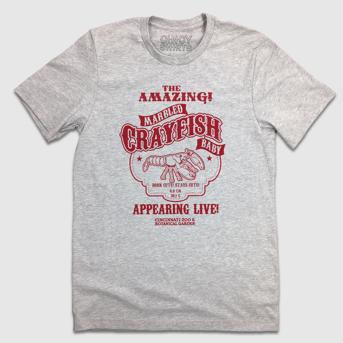 The "Amazing" Marbled Crayfish - Cincy Shirts
