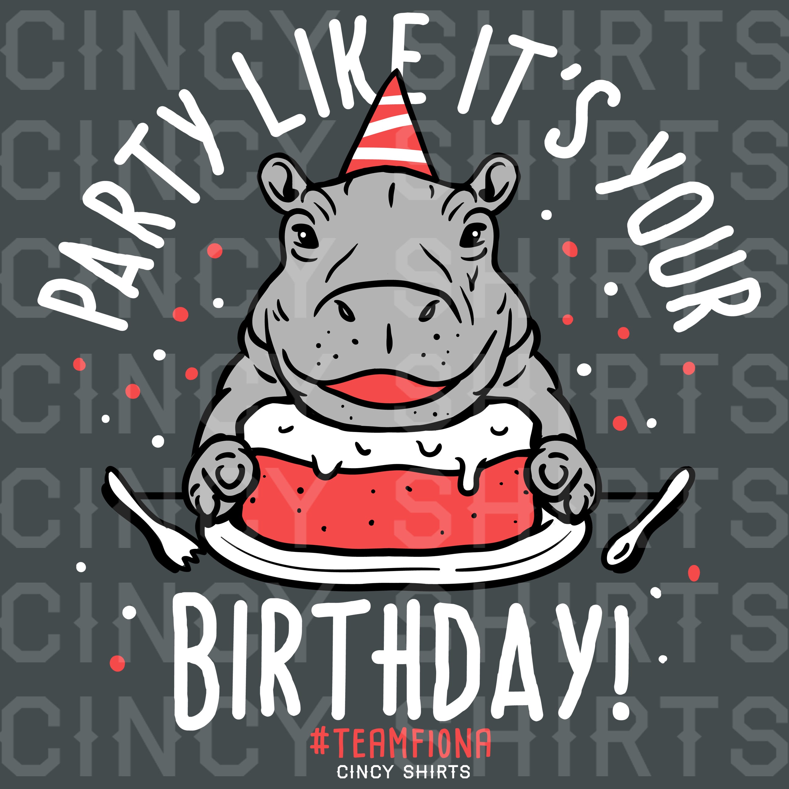 Team Fiona Birthday Tee - Cincy Shirts