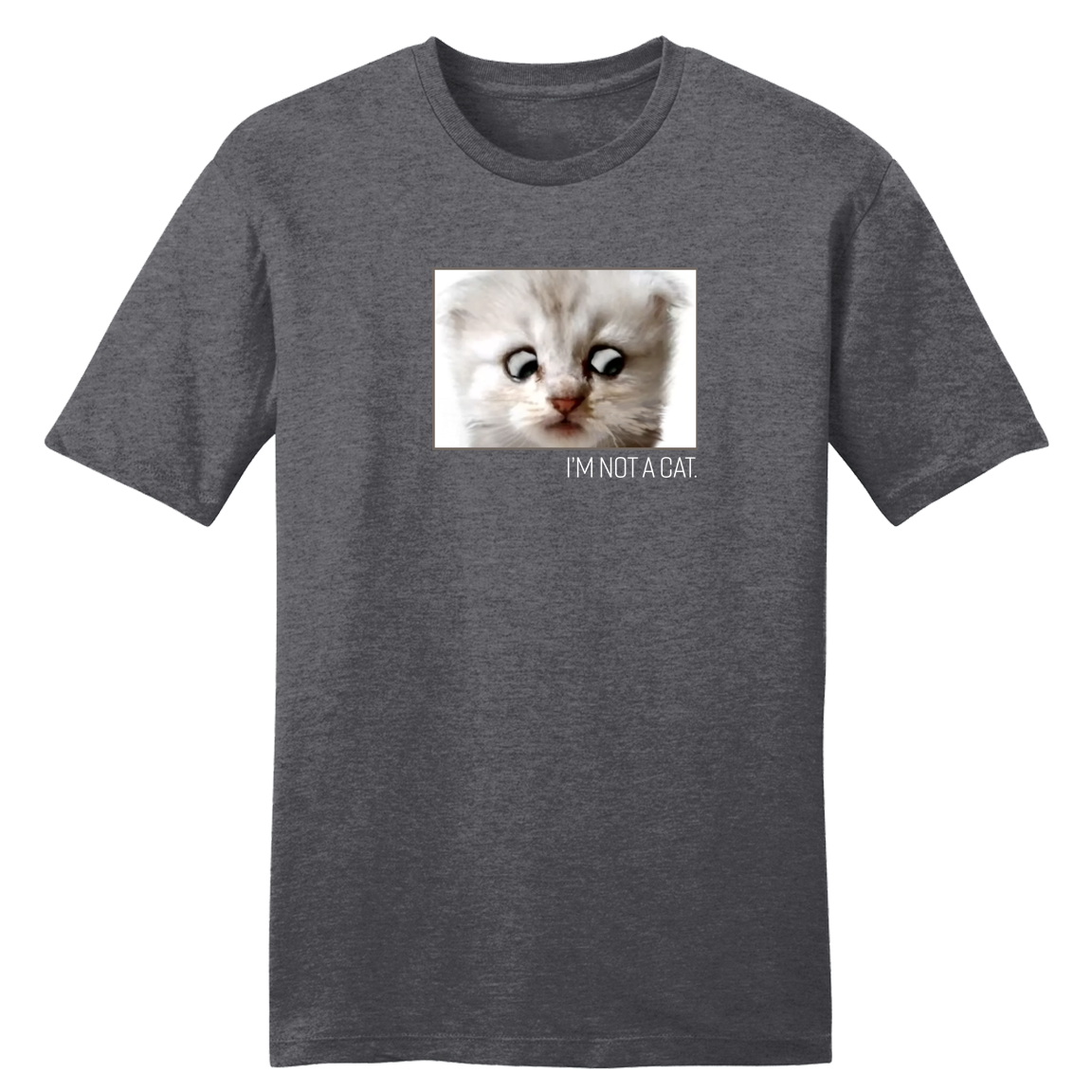 I'm Not a Cat - Cincy Shirts