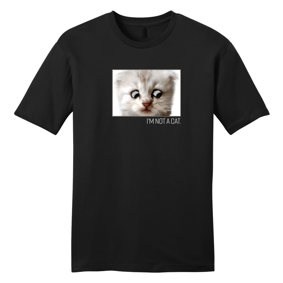 I'm Not a Cat - Cincy Shirts